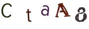 圖片的 CAPTCHA