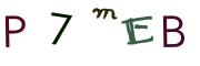 圖片的 CAPTCHA