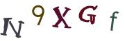 圖片的 CAPTCHA