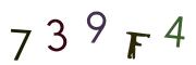 圖片的 CAPTCHA