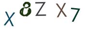 圖片的 CAPTCHA