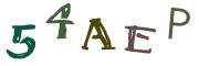 圖片的 CAPTCHA