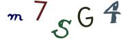圖片的 CAPTCHA