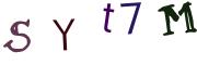 圖片的 CAPTCHA