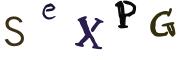 圖片的 CAPTCHA