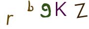圖片的 CAPTCHA