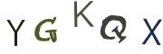 圖片的 CAPTCHA