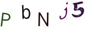 圖片的 CAPTCHA