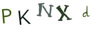 圖片的 CAPTCHA