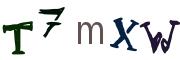 圖片的 CAPTCHA
