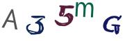 圖片的 CAPTCHA