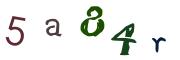 圖片的 CAPTCHA