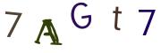 圖片的 CAPTCHA