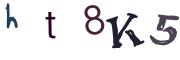 圖片的 CAPTCHA