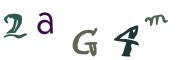 圖片的 CAPTCHA