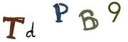 圖片的 CAPTCHA