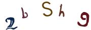 圖片的 CAPTCHA