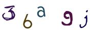 圖片的 CAPTCHA