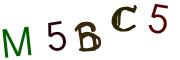 圖片的 CAPTCHA