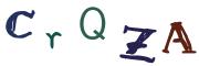 圖片的 CAPTCHA