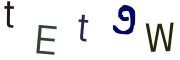 圖片的 CAPTCHA