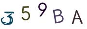 圖片的 CAPTCHA