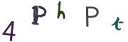 圖片的 CAPTCHA
