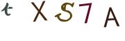 圖片的 CAPTCHA