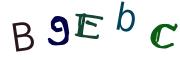 圖片的 CAPTCHA