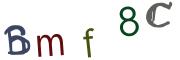 圖片的 CAPTCHA