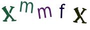 圖片的 CAPTCHA
