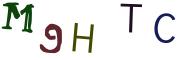 圖片的 CAPTCHA