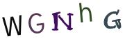 圖片的 CAPTCHA