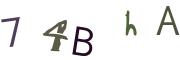 圖片的 CAPTCHA