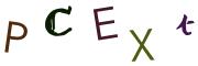圖片的 CAPTCHA