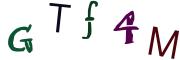 圖片的 CAPTCHA