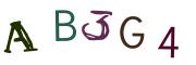 圖片的 CAPTCHA