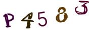 圖片的 CAPTCHA