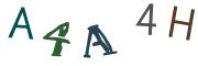 圖片的 CAPTCHA