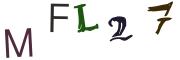 圖片的 CAPTCHA
